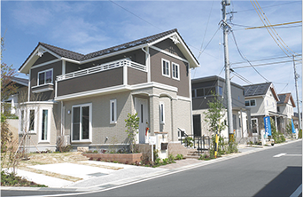 景観を美しく整える外構植栽デザイン