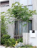 景観を美しく整える外構植栽デザイン